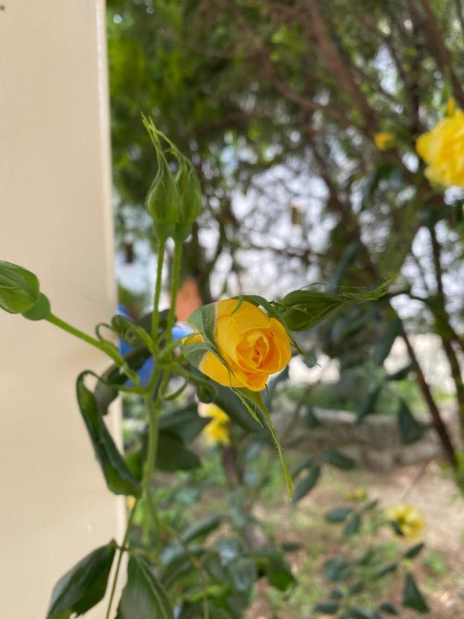 Villa Valmas Katsaros  ภายนอก รูปภาพ